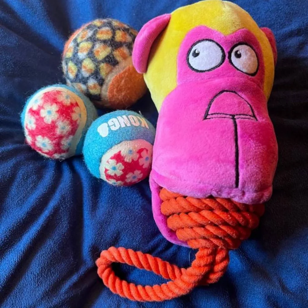 Pooch Pen Pet Bed Puppy Pads Clean Up Bags Kong Balls Toys Bundle 🥳 Host Pick 🥳